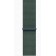 Смарт-часы Apple Watch SE GPS 44mm Starlight Aluminium Case with Lake Green Sport Loop (MXEW3QI/A)