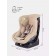 Автокресло RANT LB-777  Pilot  Active Line (Beige) группа 0-1 (0-18 кг)