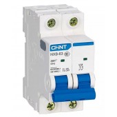 Автоматический выключатель CHINT NXB-63 2P 4A C 6kA