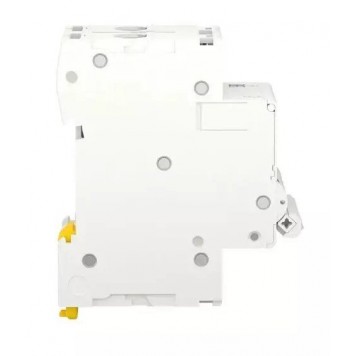 Автоматический выключатель SE RESI9 (АВ) 2P С 50А 6 kA (R9F12250)-1