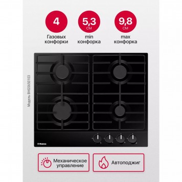 Газовая варочная поверхность Hansa BHGS650103-2