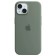 Чехол для iPhone 15 Silicone Case with MagSafe - Cypress (MT0X3ZM/A)