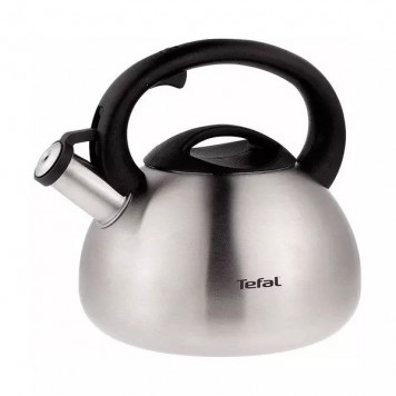 Чайник для плиты Tefal C7921024 стальной
