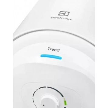 Водонагреватель Electrolux EWH 100 Trend-3
