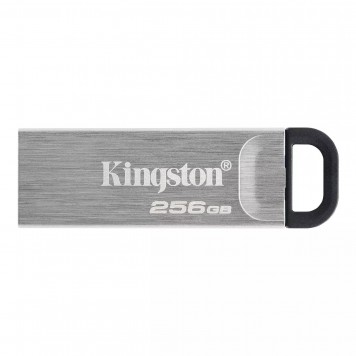 Флеш-накопитель Kingston DataTraveler Duo 256Gb  USB3.2 Gen 1 DTKN/256GB Silver