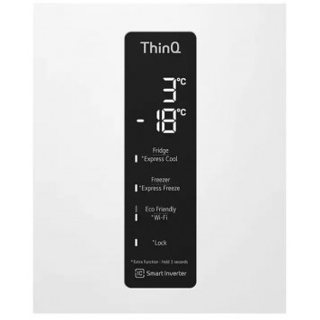 Холодильник LG GC-B459MQWM-8