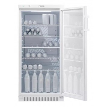 Холодильник POZIS-Свияга-513-6-1