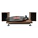 Проигрыватель виниловый Ritmix LP-280 Buk
