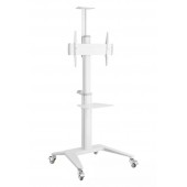 Стойка мобильная Brateck TTV12-46TW