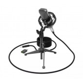 Студийный микрофон Ritmix RDM-160 черный