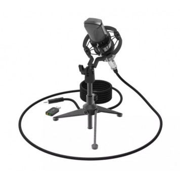 Студийный микрофон Ritmix RDM-160 черный