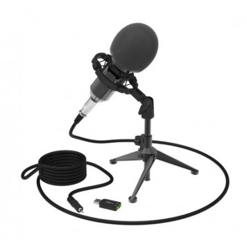 Студийный микрофон Ritmix RDM-160 черный-1