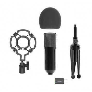Студийный микрофон Ritmix RDM-160 черный-2