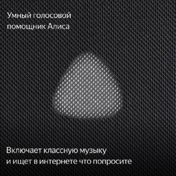 Умная колонка Яндекс. Станция Макс с Zigbee, Серая (YNDX-00052 Gray)-7