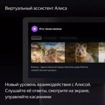 Умная колонка Яндекс.Станция Макс Дуо Зелёная-4