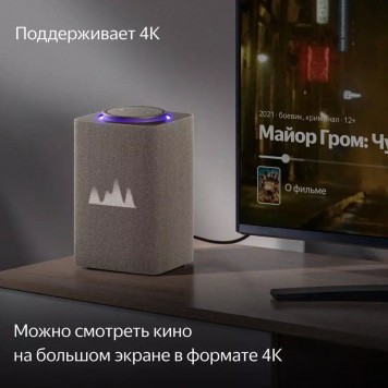 Умная колонка Яндекс.Станция Макс с Zigbee Бежевая-5