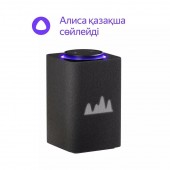 Умная колонка Яндекс.Станция Макс с Zigbee Графит