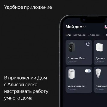 Умная колонка Яндекс.Станция Макс с Zigbee Графит-12
