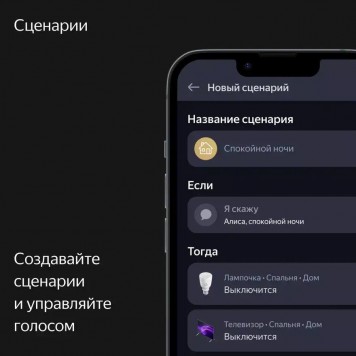 Умная колонка Яндекс.Станция Макс с Zigbee Графит-13