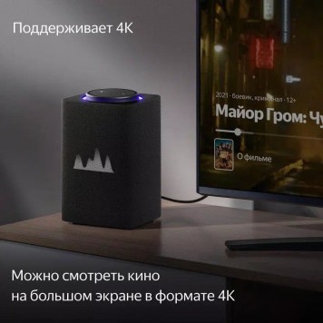 Умная колонка Яндекс.Станция Макс с Zigbee Графит-5