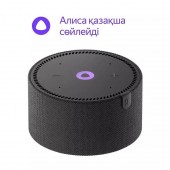 Умная Колонка Новая Яндекс.Станция Мини YNDX-00021 Чёрный оникс