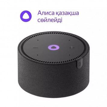 Умная Колонка Новая Яндекс.Станция Мини YNDX-00021 Чёрный оникс