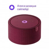 Умная Колонка Новая Яндекс.Станция Мини YNDX-00021 Красный гранат