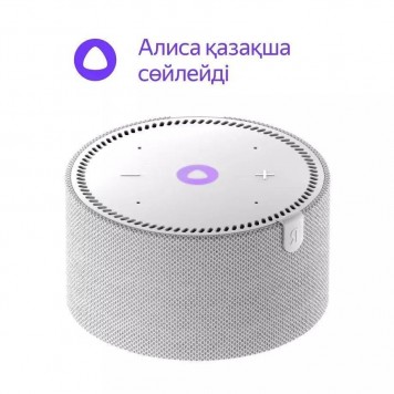 Умная Колонка Новая Яндекс.Станция Мини YNDX-00021 Серый опал
