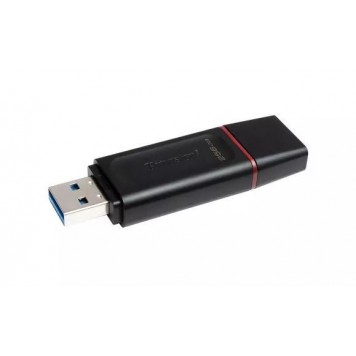 USB-накопитель Kingston DTX/256GB 256GB Чёрный-1